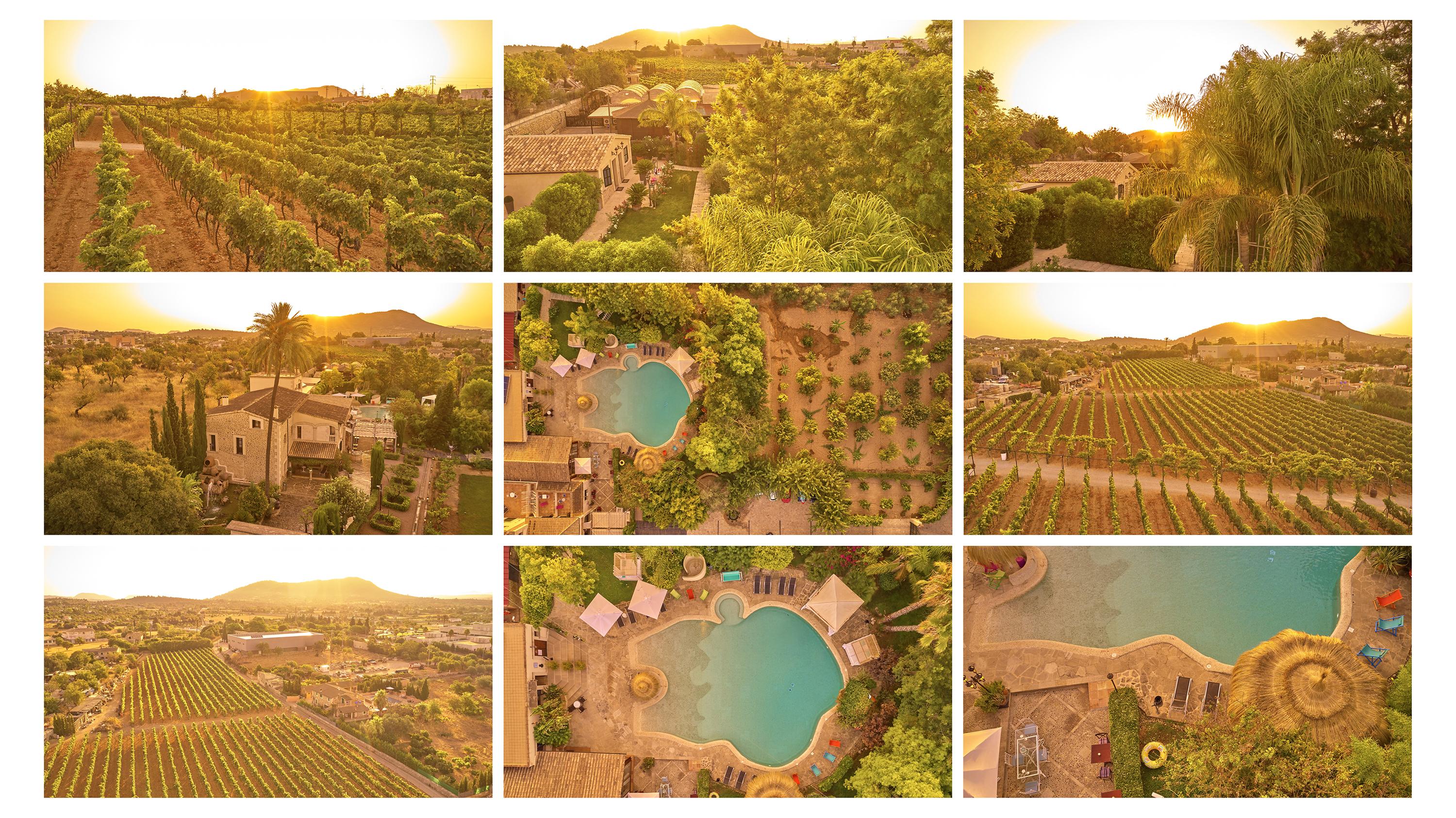 Agroturismo Sa Vinya Des Convent Inca  Dış mekan fotoğraf